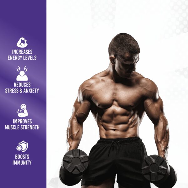 Daily Multivitamins - Image 4